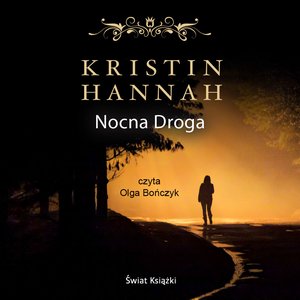 Nocna droga – audiobook
