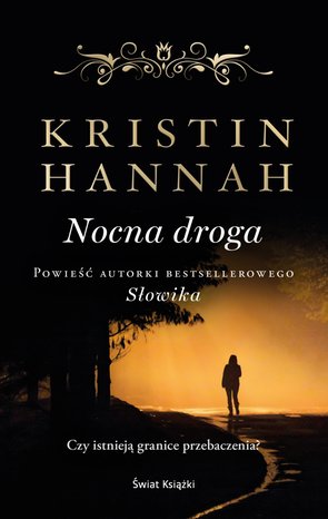 Nocna droga – ebook