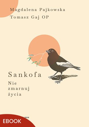 Sankofa Nie zmarnuj życia – ebook