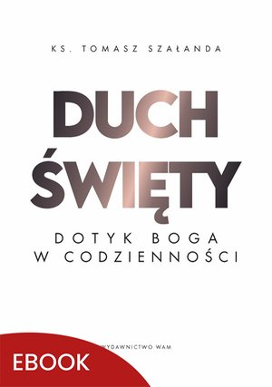 Duch Święty Dotyk Boga w codzienności – ebook
