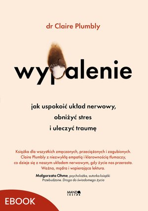 Wypalenie – ebook