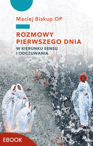 Rozmowy pierwszego dnia – ebook