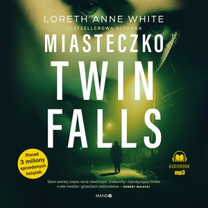 Miasteczko Twin Falls – audiobook