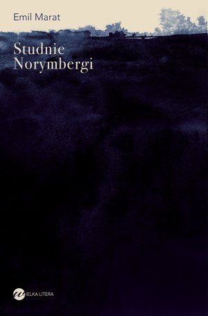Studnie Norymbergi – ebook