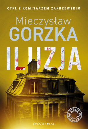 Iluzja. Cienie przeszłości – ebook