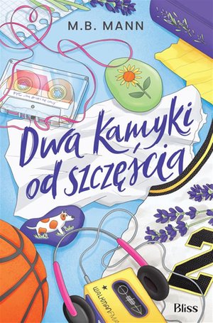 Dwa kamyki od szczęścia &ndash; ebook