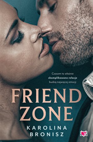 Friendzone – ebook