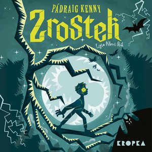 Zrostek – audiobook