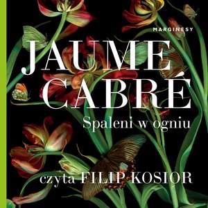 Spaleni w ogniu – audiobook