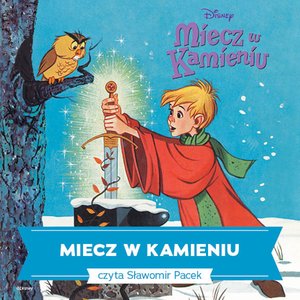 Miecz w kamieniu – audiobook