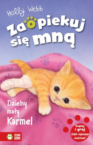 Zaopiekuj się mną Dzielny mały Karmel – ebook