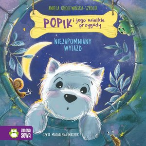 Popik i jego wielkie przygody. Niezapomniany wyjazd &ndash; audiobook