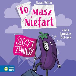 Tomasz Niefart Tom 6: Tomasz Niefart. Szczyt żenady – audiobook