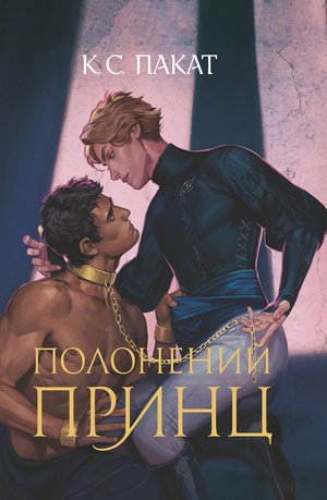 Полонений принц: роман: Книга 1 – ebook