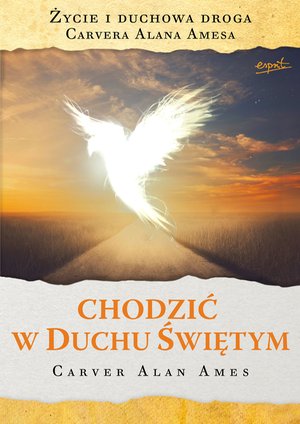 Chodzić w Duchu Świętym – ebook