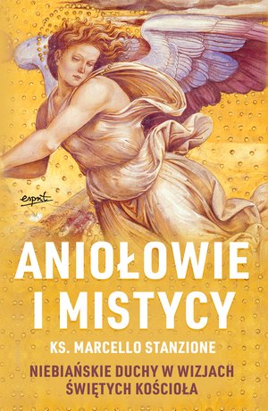 Aniołowie i mistycy – ebook