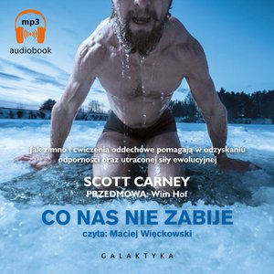 Co nas nie zabije – audiobook