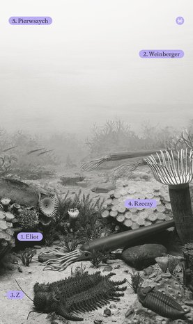 Z rzeczy pierwszych – ebook