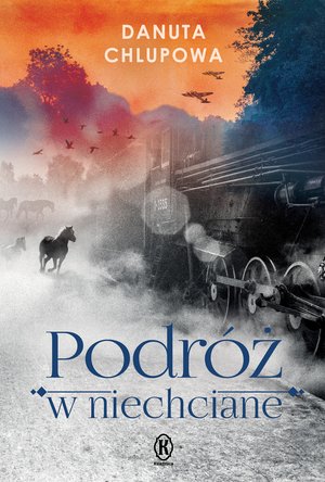 Podróż w niechciane – ebook