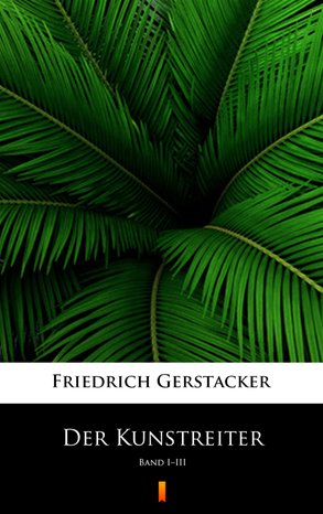 Der Kunstreiter – ebook