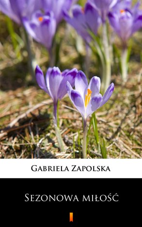 Sezonowa miłość – ebook