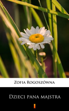 Dzieci pana majstra – ebook