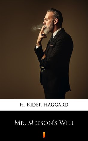 Mr. Meeson’s Will – ebook