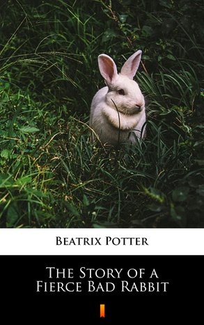 The Story of a Fierce Bad Rabbit – ebook