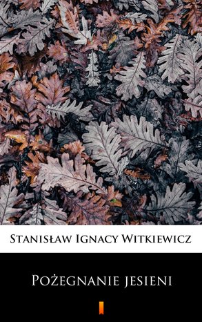 Pożegnanie jesieni – ebook