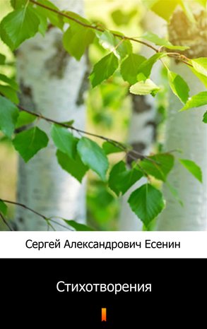 Стихотворения (Wiersze) – ebook