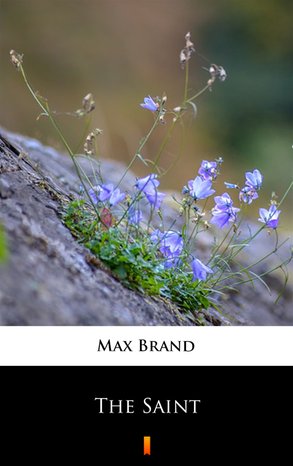 The Saint – ebook