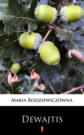 Dewajtis – ebook