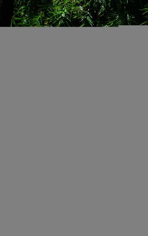 Just So Stories – ebook