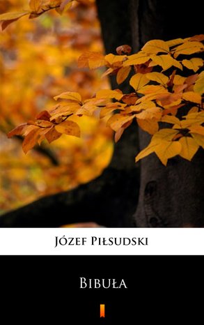 Bibuła – ebook