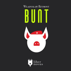 Bunt – audiobook