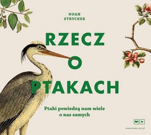 Rzecz o ptakach – audiobook