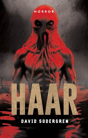Haar – ebook