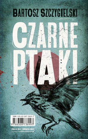 Czarne ptaki &ndash; ebook