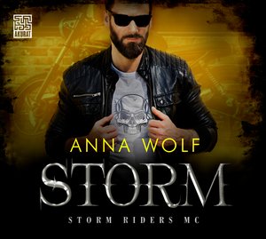 Storm – audiobook