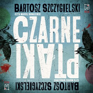 Czarne ptaki &ndash; audiobook