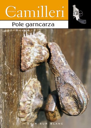 Pole garncarza – ebook
