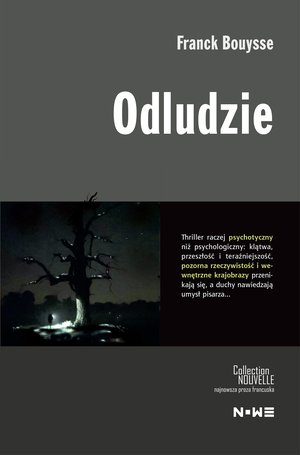 Odludzie – ebook