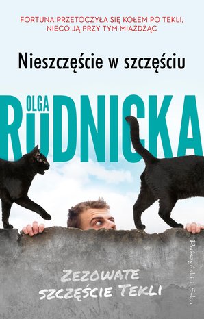 Nieszczęście w szczęściu – ebook
