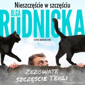 Nieszczęście w szczęściu – audiobook