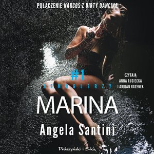 Marina – audiobook