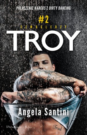 Troy – ebook