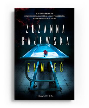 Zamieć – ebook