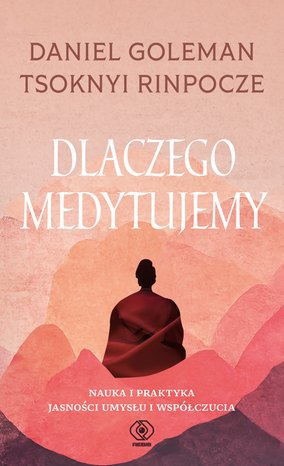 Dlaczego medytujemy – ebook