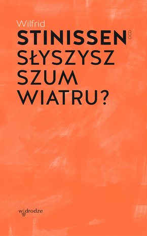Słyszysz szum wiatru? – ebook