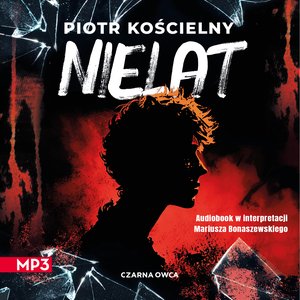 Nielat – audiobook